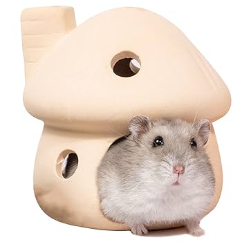 ハムスター用のお家 小動物用ハウス ハムスターハウス ハウス 家 おうち 小屋 小動物